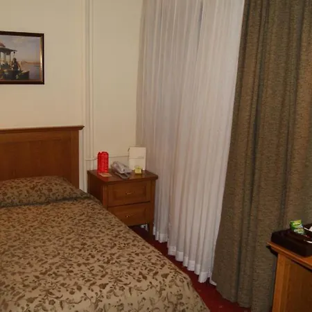 Central Hotel 4* 부루사